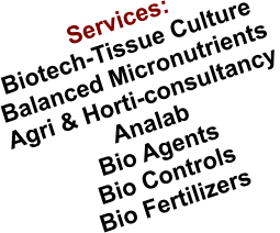 Services: Biotech-Tissue Culture Balanced Micronutrients Agri & Horti-consultancy Analab  Bio Agents Bio Controls Bio Fertilizers